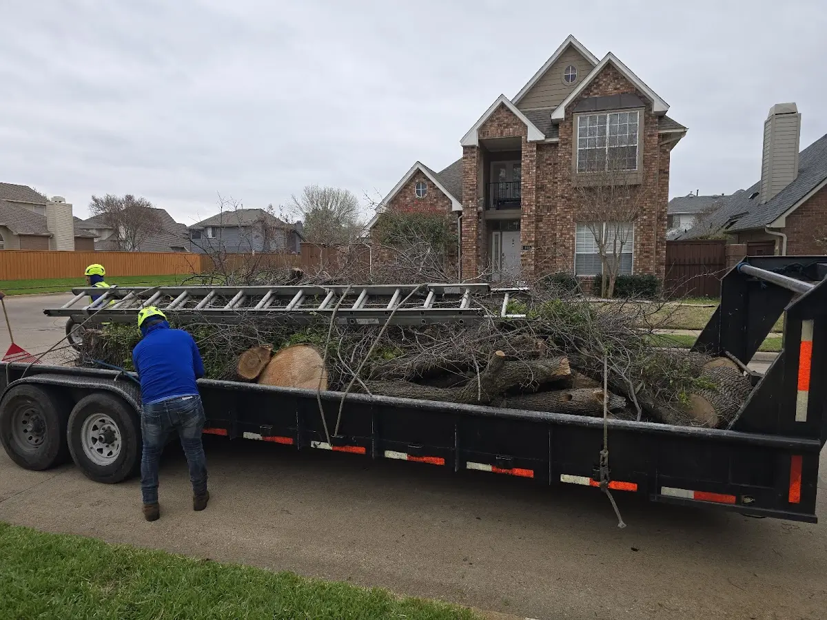 Expert Lot Clearing with proper safety equipment in Clemmons